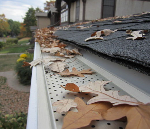 Gutter Protection