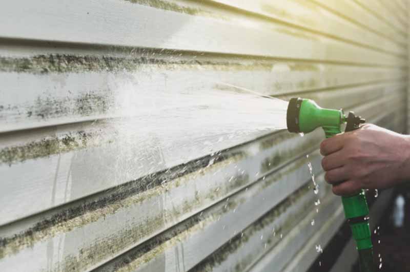 Homeowner cleaning their vinyl siding using a water hose