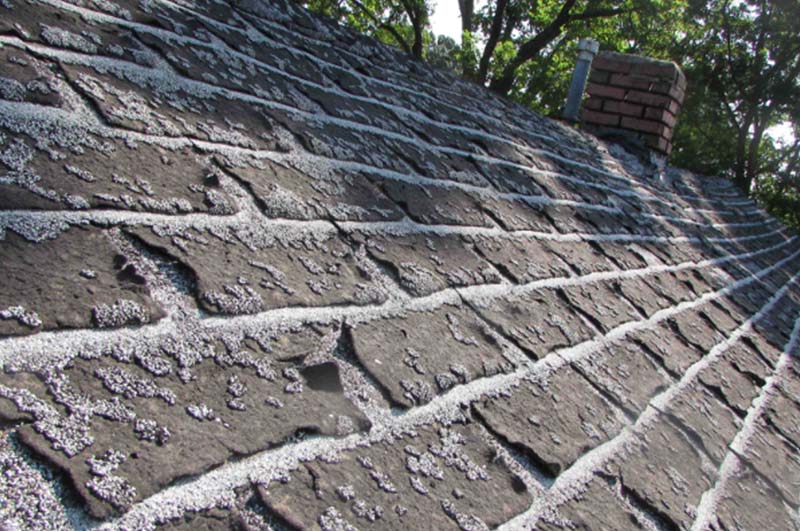 Detroit, Michigan Home with missing and moldy shingles