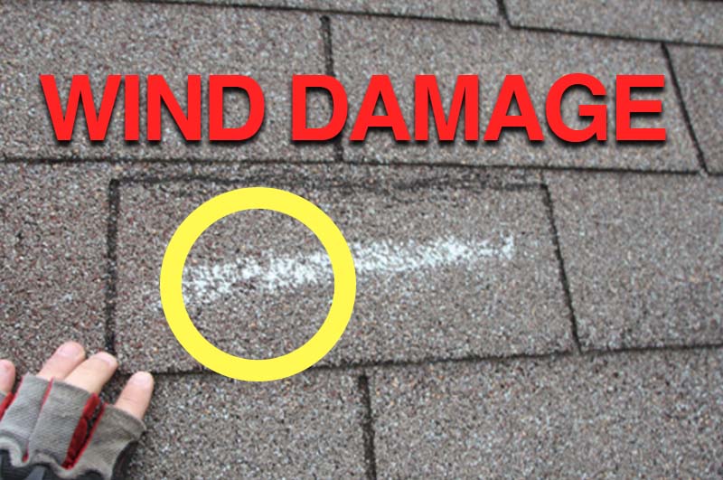 Wind Damage on Asphalt Roof